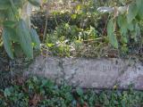 image of grave number 614300